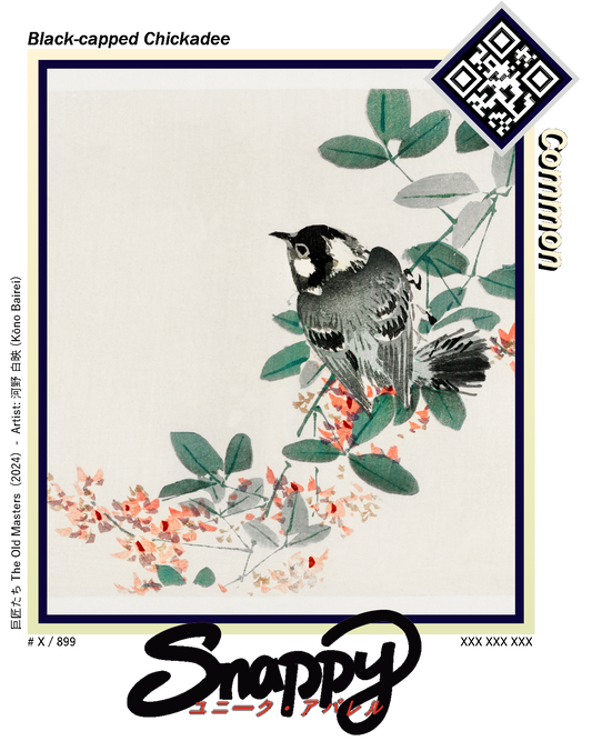 [Common] Black-capped Chickadee